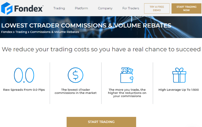 Fondex Review